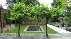 Formal pond with informal planting by Amanda Broughton Garden Design