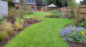 North London garden design with lawn and herbaceous borders