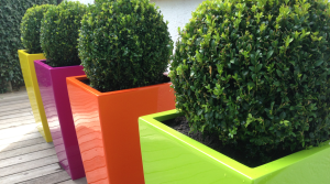 Contemporary garden make-over by Amanda Broughton Garden Design