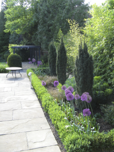 Paving and Planting in Hadley Wood garden design - North London