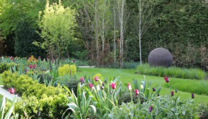 Contemporary new build Hertfordshire garden design and planting by Amanda Broughton Garden Design