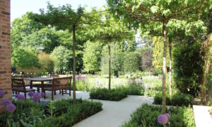 Contemporary new build garden design and planting in Hertfordshire by Amanda Broughton