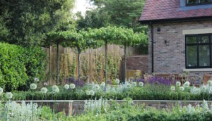 Contemporary new build garden design in Hertfordshire by Amanda Broughton Garden Design