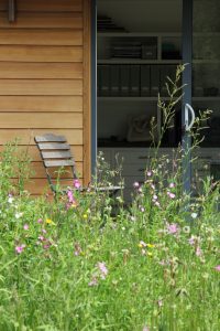 Herts. Garden Office meadow in flower by Amanda Broughton Garden Design