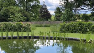 Hertfordshire Country Garden design - wildlife pond by day