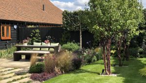 Dining area nestled amongst planting