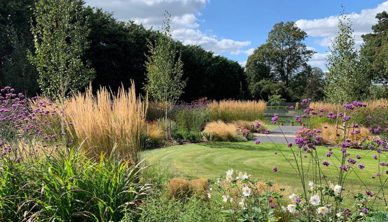 Prairie style planting in Hertfordshire garden design - Amanda